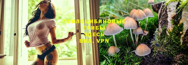 мяу мяу мука Абинск