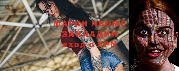 прущие грибы Переславль-Залесский