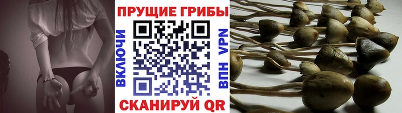 Галлюциногенные грибы мухоморы Урус-Мартан